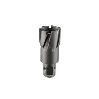 Сверло корончатое твердосплавное ALTECO TCT 30х35