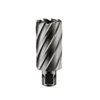 Сверло корончатое ALTECO HSS 14x30