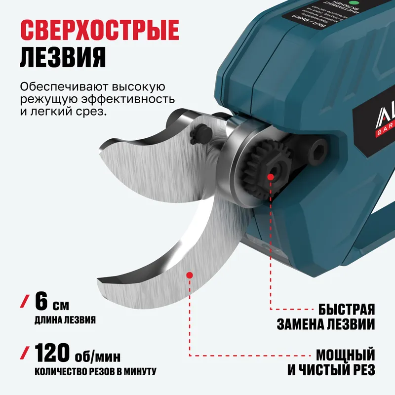 /uploads/images/product-images/5-f81f3c04-f772-4ec8-aaee-943cd0fffa5b.jpg