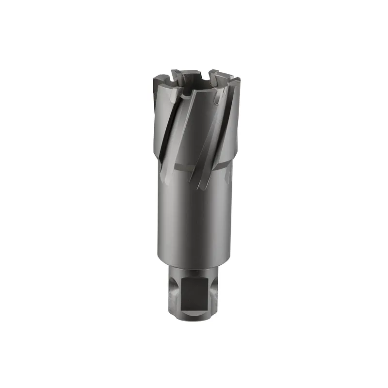 Сверло корончатое твердосплавное ALTECO TCT 14х50