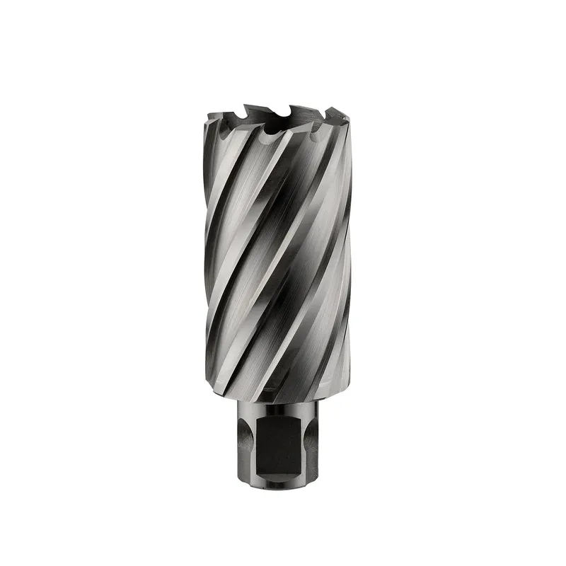 Сверло корончатое ALTECO HSS 14x30
