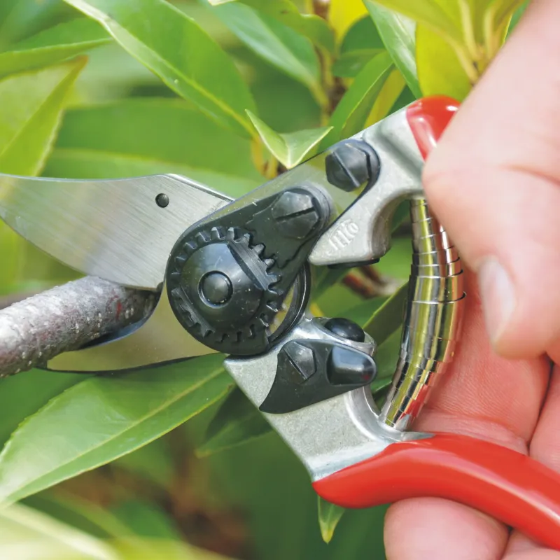 /uploads/images/product-images/Square_in_use_PNG-FELCO-6-PARKS-AND-GARDENS-2011-DSC_4960-jpg_166014a5-aa2d-492c-8430-1a062a487aa5-6696e5e3-c058-41aa-aa18-e67bfc58b19b.webp