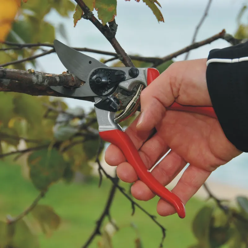 /uploads/images/product-images/Square_in_use_PNG-FELCO-8-ARBORICULTURE-2011-DSC_4775-jpg_f6d02a84-387f-4417-aa0d-2417aacb8c80-c57f5eae-d94d-40de-a338-245f2d9dbfbb.webp