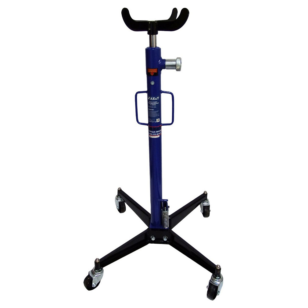 Адам мен қарын арасындағы жыныстық қатынас