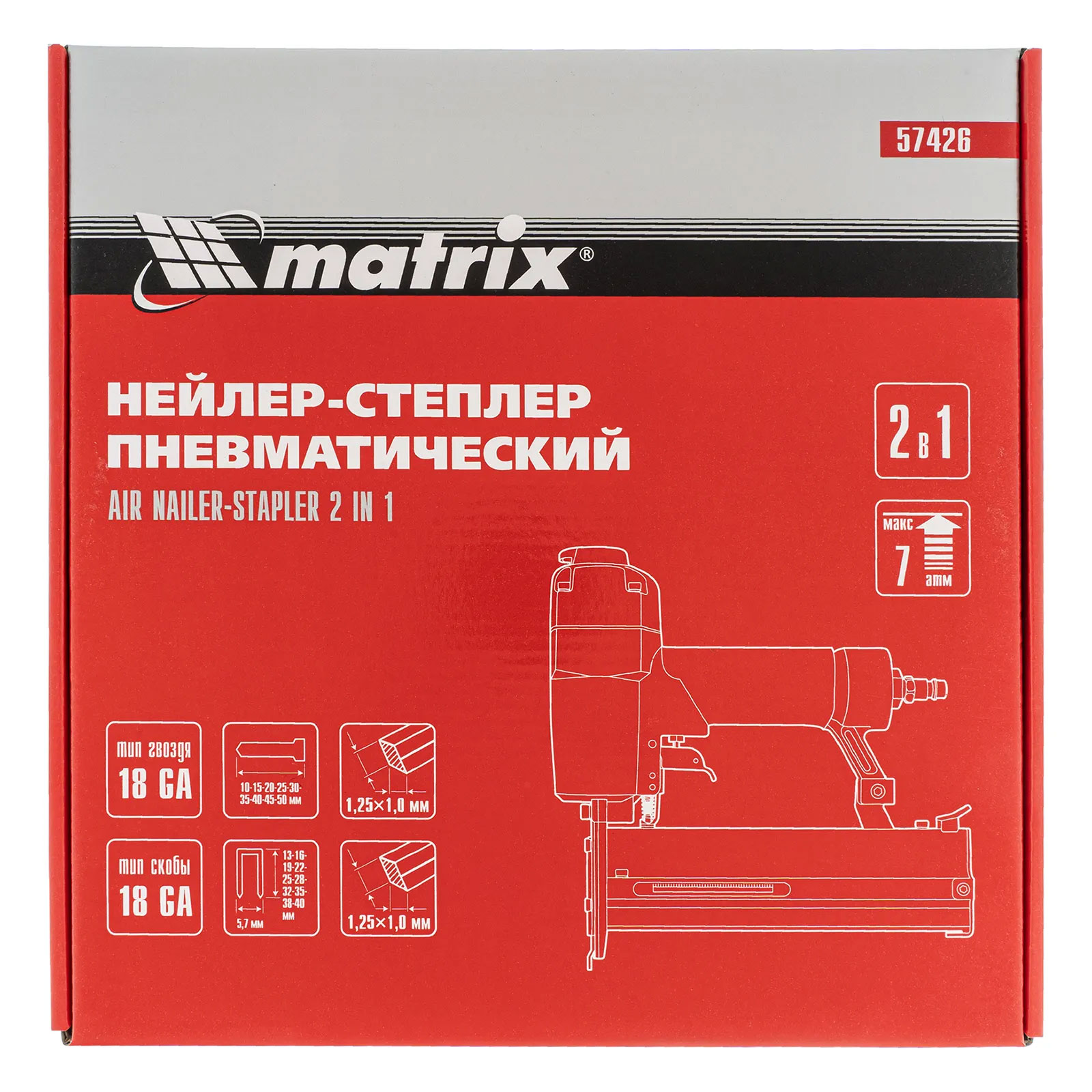 Ең еңбекқор мүше